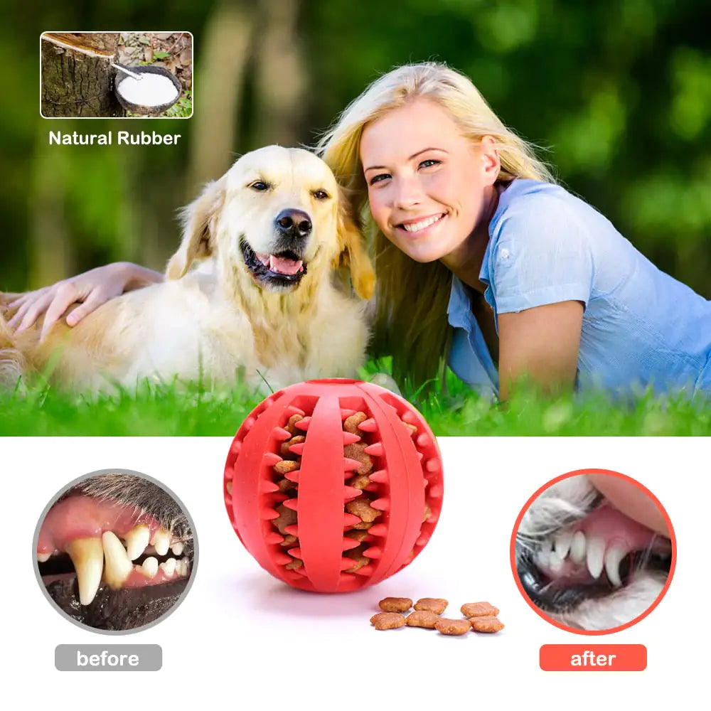 Toys Interactive Pets Rubber Balls