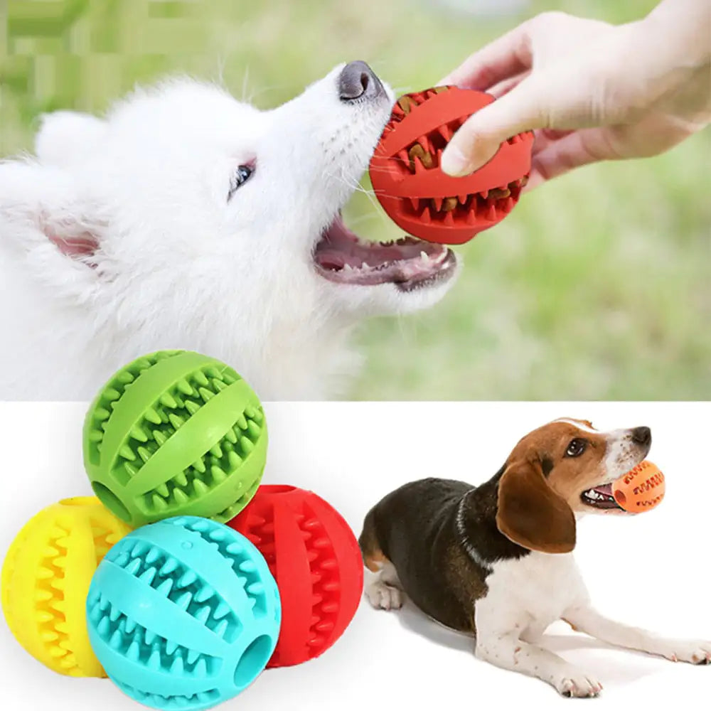 Toys Interactive Pets Rubber Balls