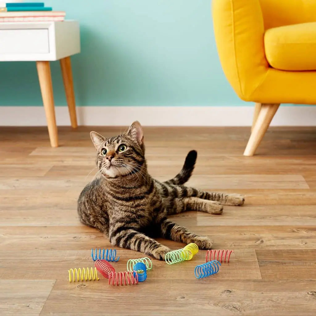 Toys - Spring Cat Toy