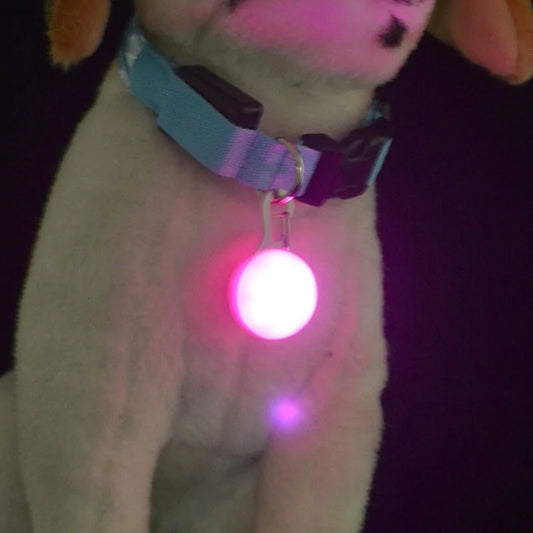 Collar LED Glowing Pet Dog Night Safety Collar